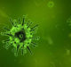 Coronavirus vaccines in development: Eight pharma projects racing to find a cure to Covid-19
