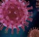 Netherlands suspends use of AstraZeneca’s Covid-19 vaccine