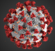 Novavax unveils positive data for Covid-19 vaccine against B.1.351 variant