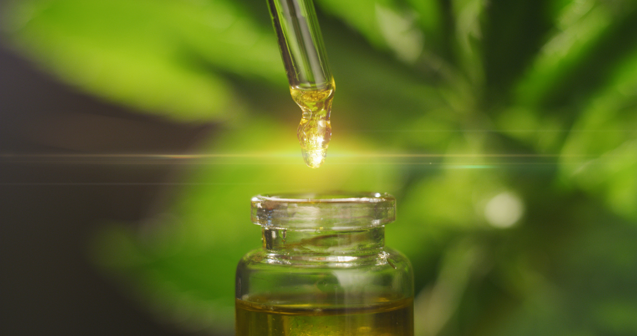 The global demand for CBD oils is on the rise.