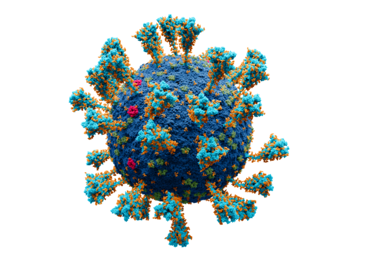 Coronavirus._SARS-CoV-2