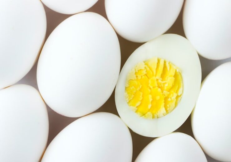 AMERICAN EGG BOARD: Eggs are a “Healthy Food” in New Proposed FDA Definition