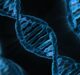 Novo Nordisk, Life Edit Therapeutics partner to advance gene editing therapies