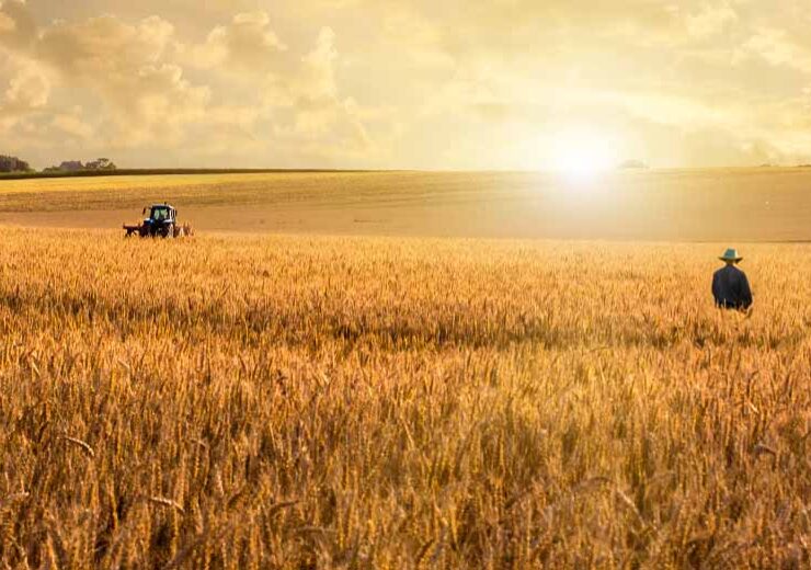 Nestlé U.S. advances regenerative agriculture practices in its DiGiorno wheat supply chain
