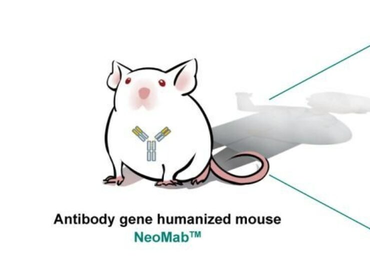 Introducing NeoMab: GemPharmatech’s Innovative Antibody Gene Humanised Mouse Model