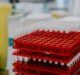 Samsung Biologics, LegoChem partner to develop and manufacture ADCs